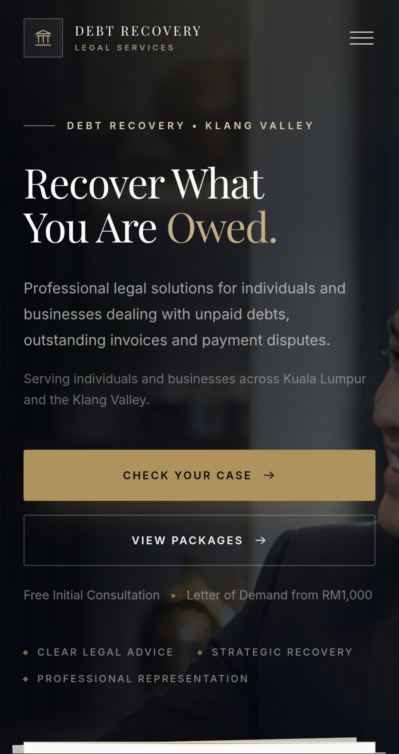 Debt Recovery site preview